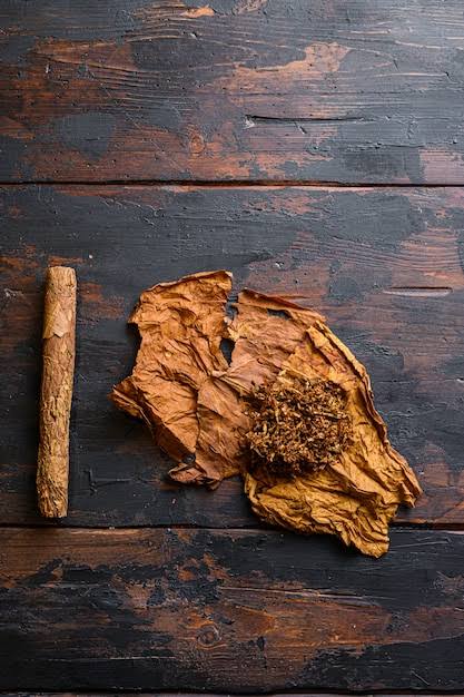 Cured cigar tobacco leaf ready for fermentation